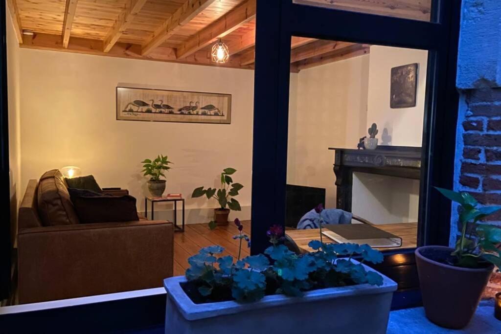 Appartement Duplex In Historical Centre With Private Courtyard à Anvers Extérieur photo