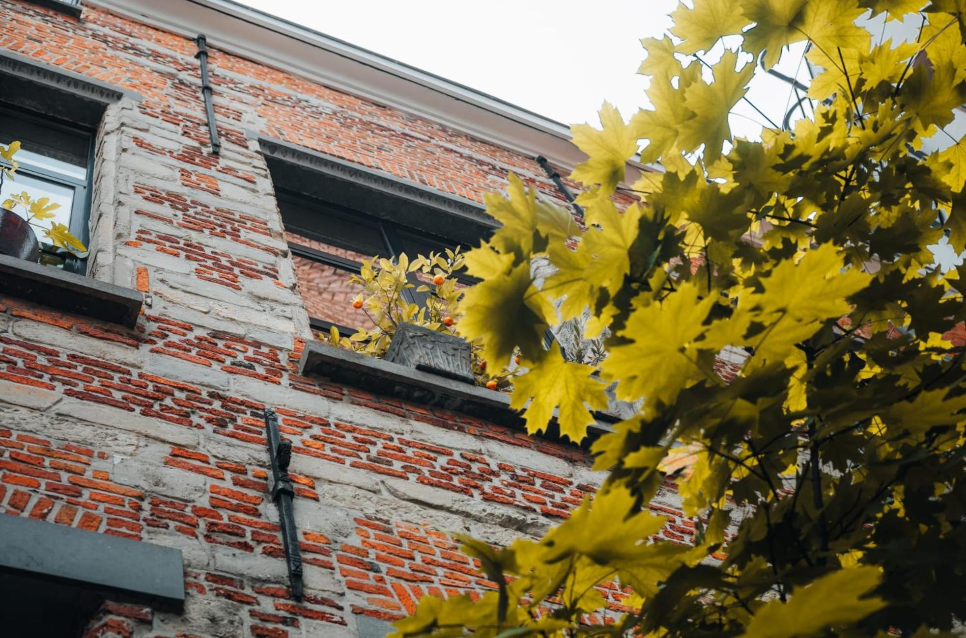Appartement Duplex In Historical Centre With Private Courtyard à Anvers Extérieur photo